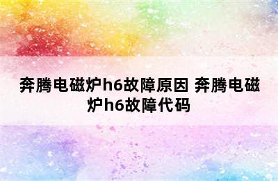 奔腾电磁炉h6故障原因 奔腾电磁炉h6故障代码